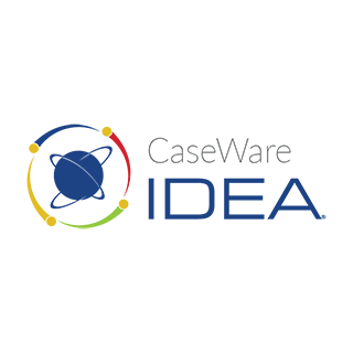 Caseware IDEA